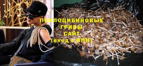 apvp Беломорск