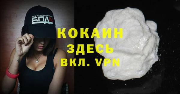 крисы Белокуриха