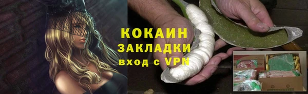 крисы Белокуриха