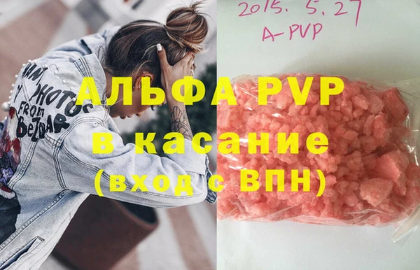 крисы Белокуриха