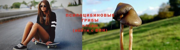 крисы Белокуриха