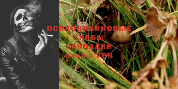 крисы Белокуриха