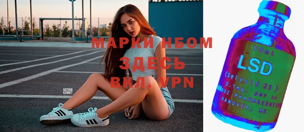 крисы Белокуриха